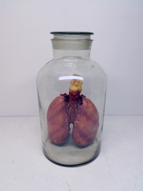 bote tarro pulmon humano replica laboratorio 1u